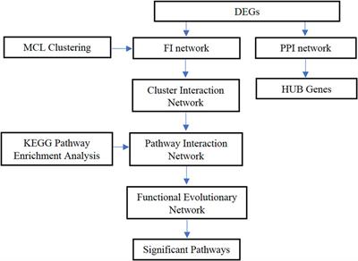 Identifying colon cancer stage related genes and their cellular pathways